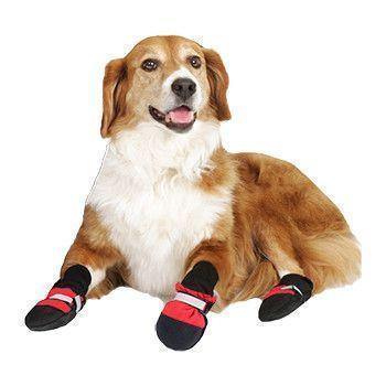 Stivali per Animali Domestici